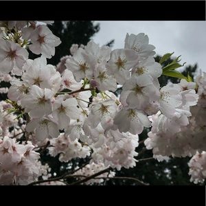 Meet your Posher, Jen